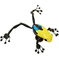 Imanes con forma de rana- diseño de rana- color azul y amarillo Muy realista.